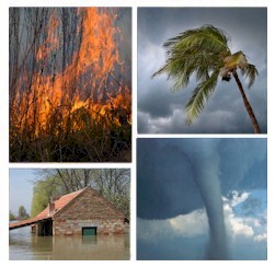 emergency response