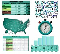 Sample IVR hosting and services report