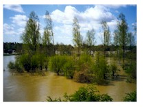 flooding alerts